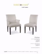 Picture of KF216-1 DC25 DIVINE ARM DINING CHAIR
